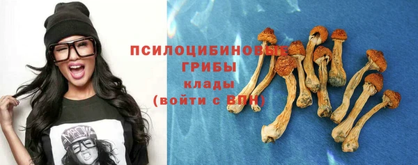 spice Алексеевка
