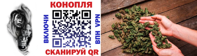 наркотики  Шацк  Шишки марихуана THC 21% 
